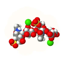Kondroitin